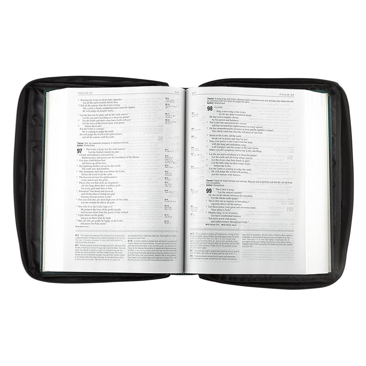 Bible Cover Value Black Ichthus Patch: Medium
