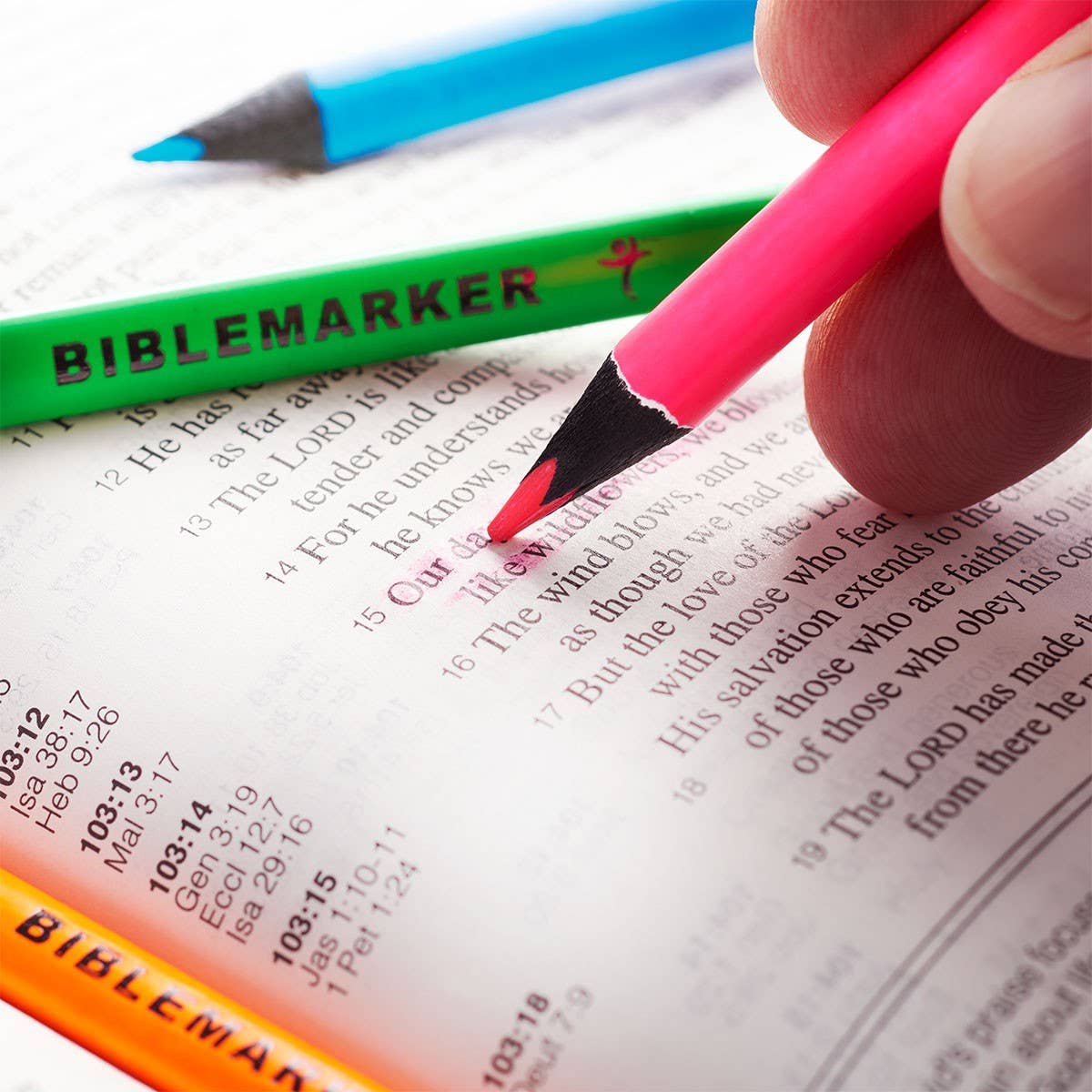 Highlighter Pencil Set