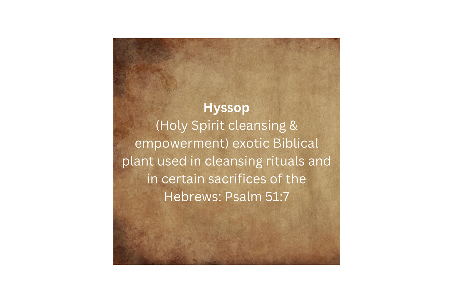 Hyssop Prayer Oil - 1/4oz