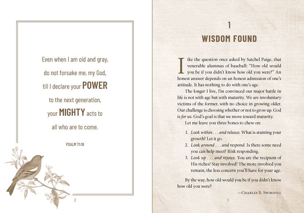 Devotions For Grandpas
