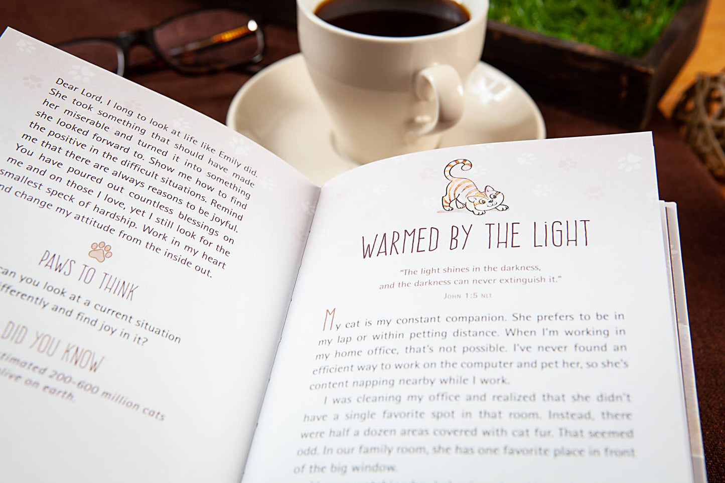 52 Devotions for Cat Ladies (Devotional)