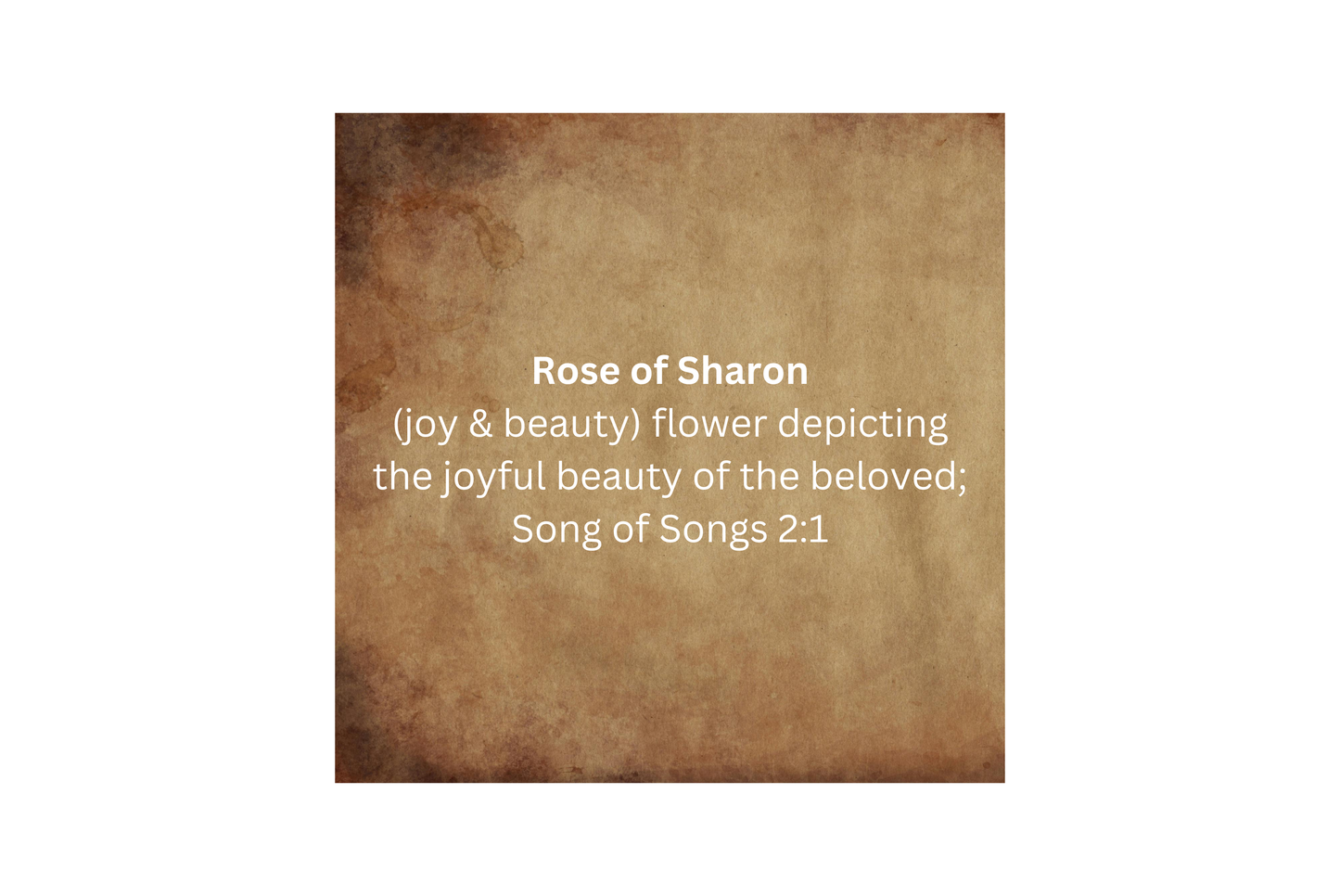 Rose Prayer Oil - 1/4oz