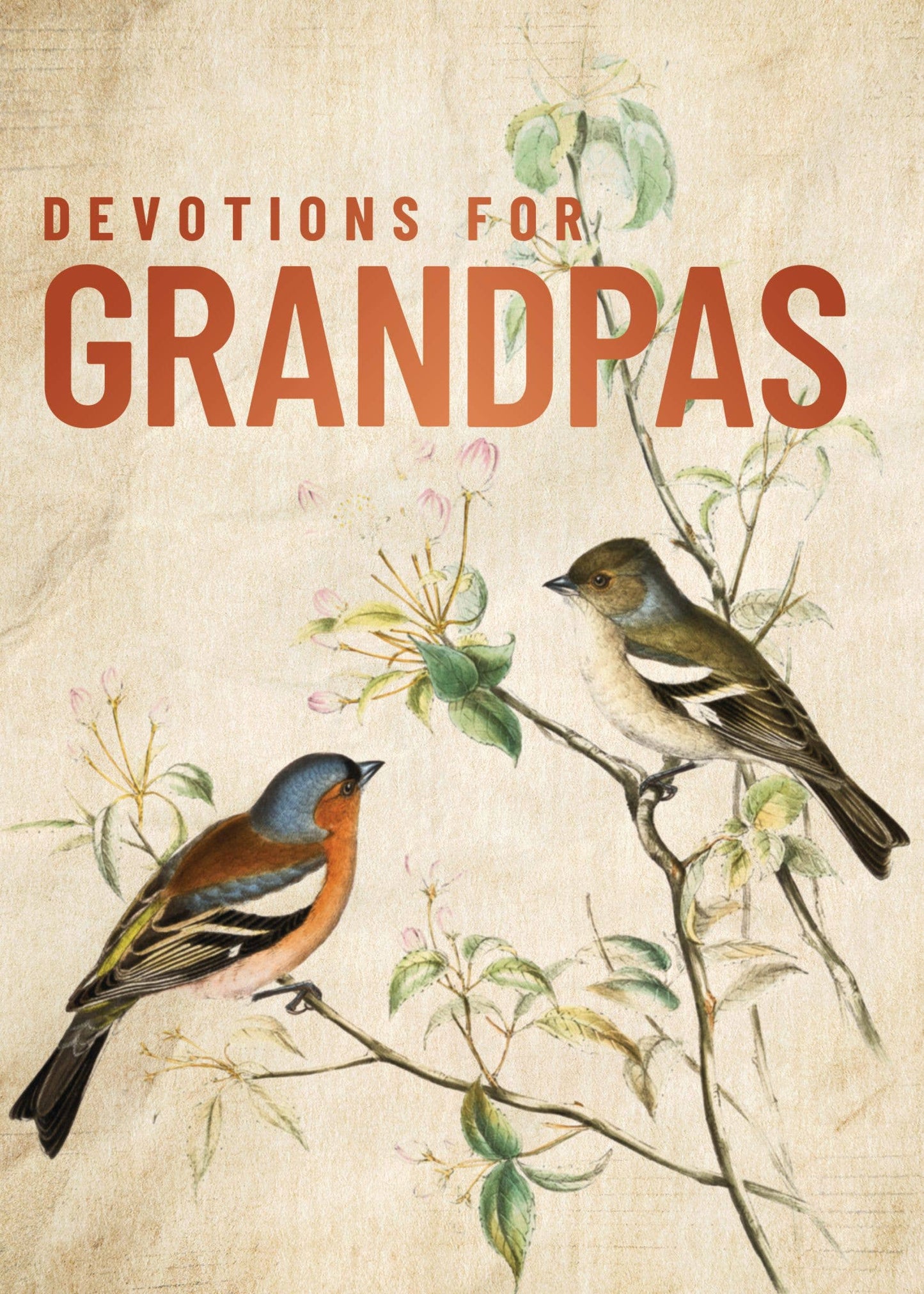 Devotions For Grandpas